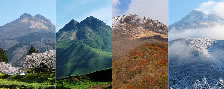 Mt.YUFU of the four seasons